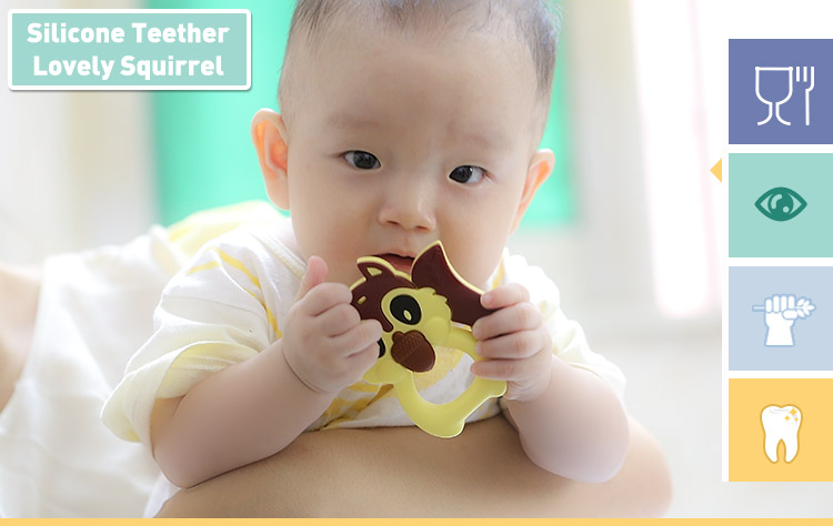 Silicone baby teether wholesale- Animal Squirrel Teether Toys