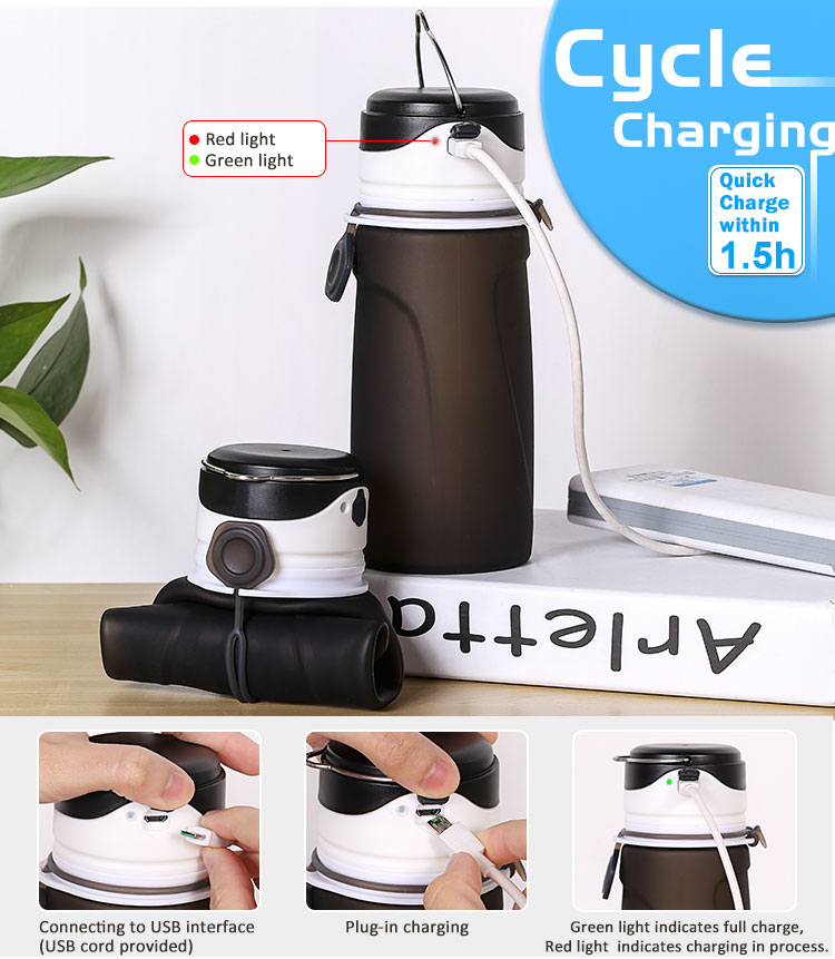 collapsible Led water bottle