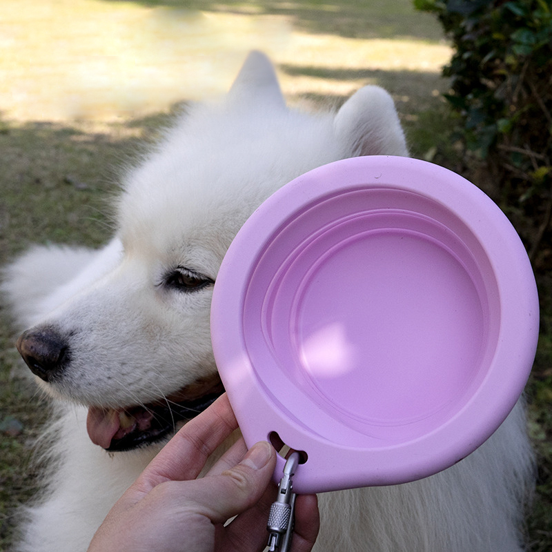 Dog travel food and water bowls