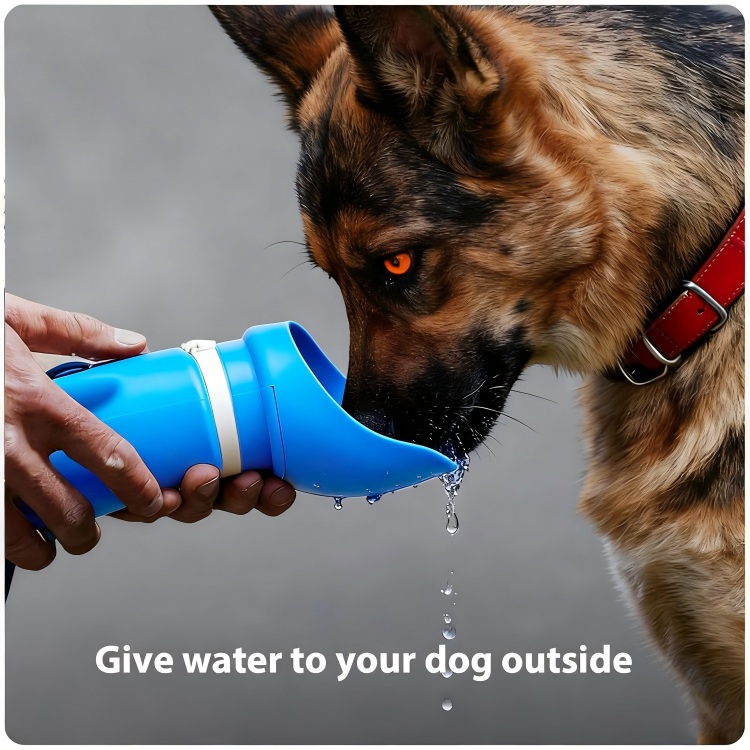 dog water bottle