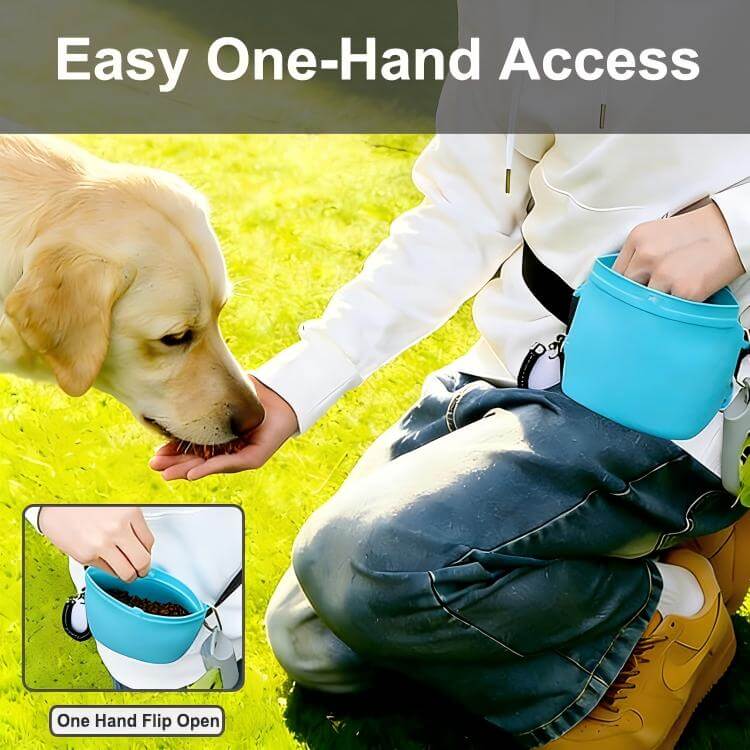 Dog training treat pouch