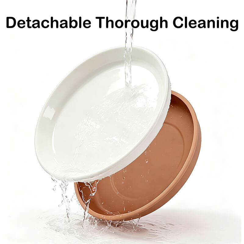 2 in 1 Silicone Suction Plate