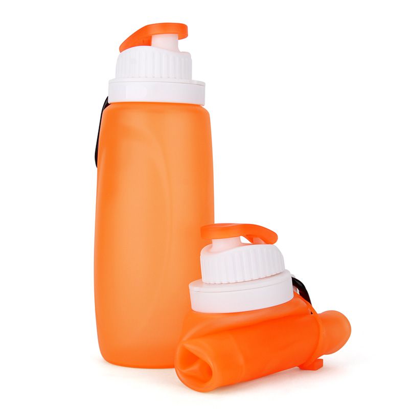 collapsible water container