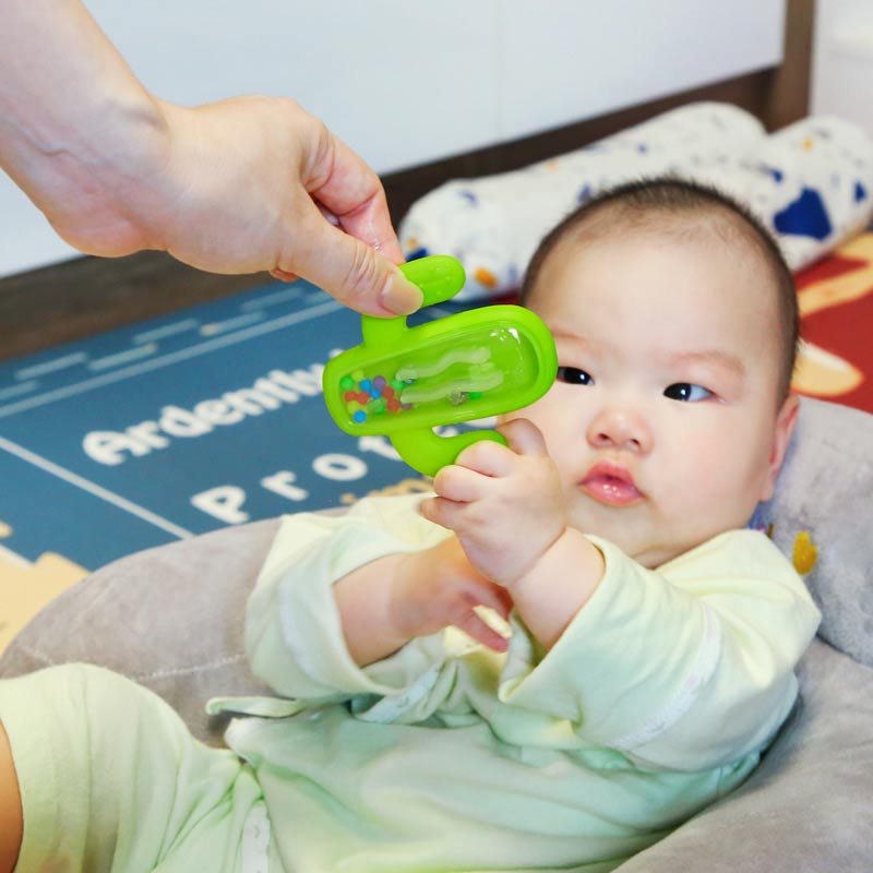 Cactus Silicone Teether