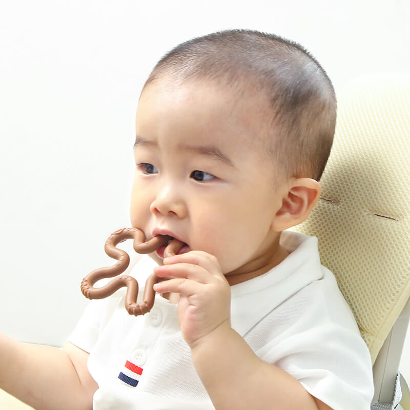 Infant Chew Toys Coral