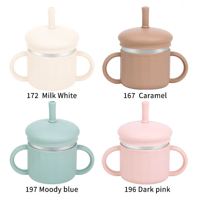 Stainless Steel Sippy Cup
