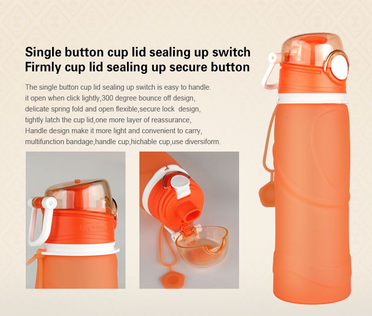 Silicone Water Bottle